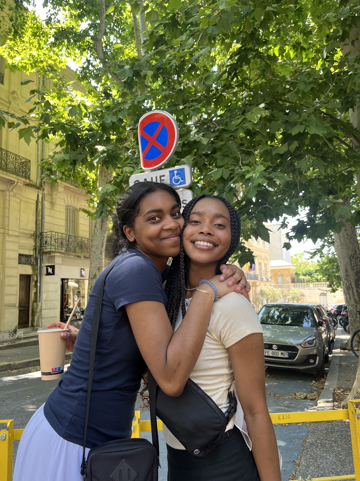 Day 3: South to Avignon, photo 7