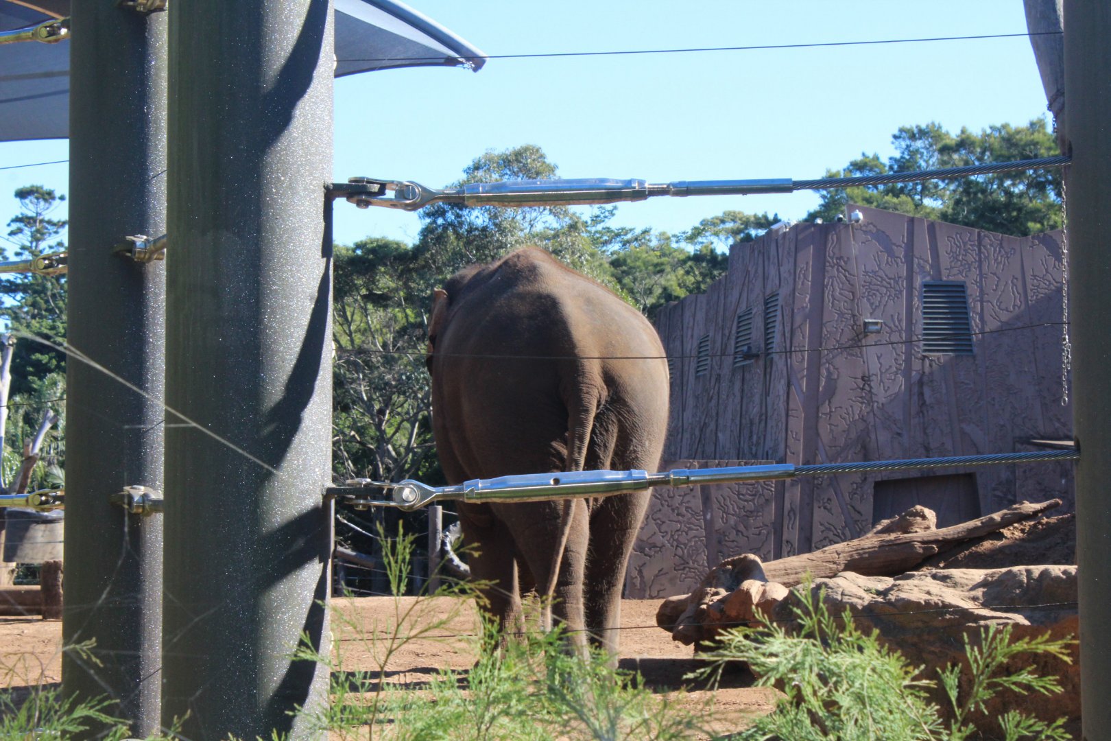 Australia 2017, Day 5: Taronga Zoo and a Workshop, photo 23