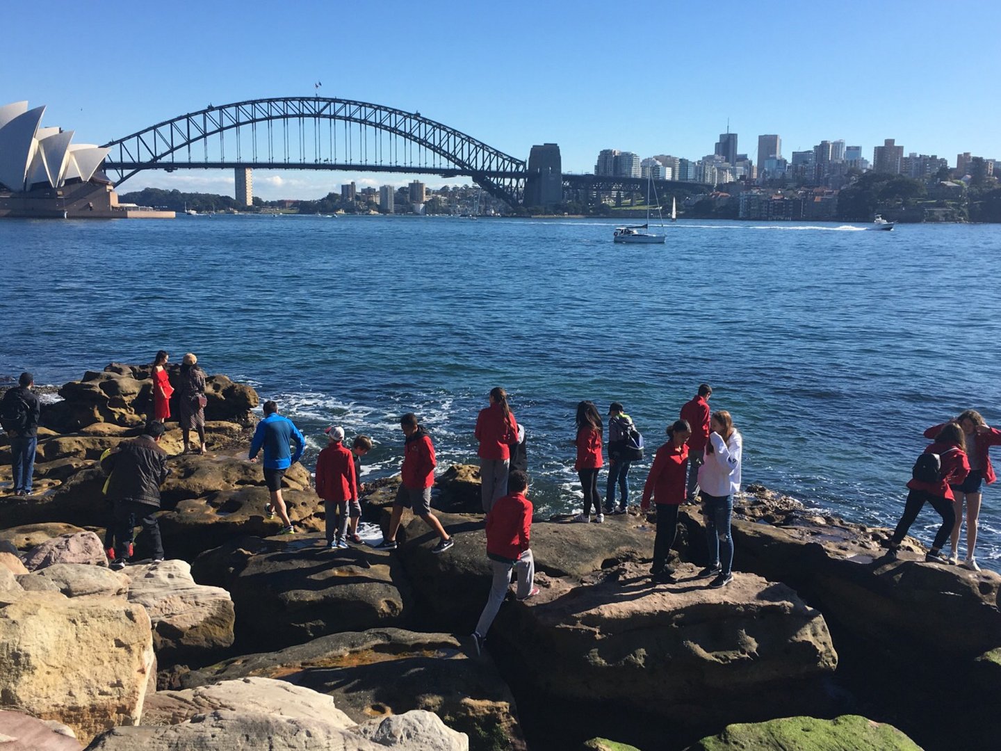 Australia 2017, Day 3: Arrival in Sydney, photo 3