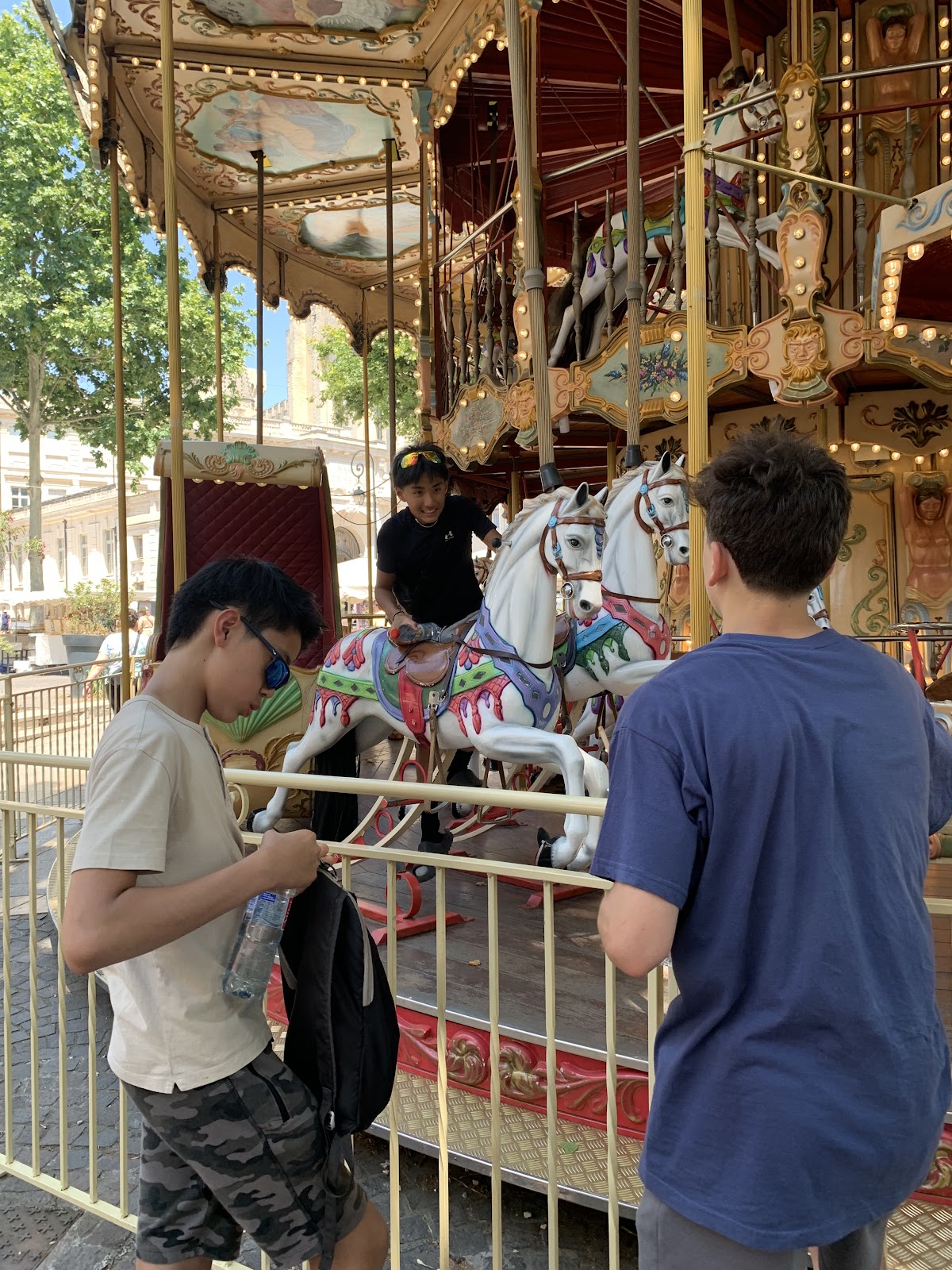 Day 3: South to Avignon, photo 17