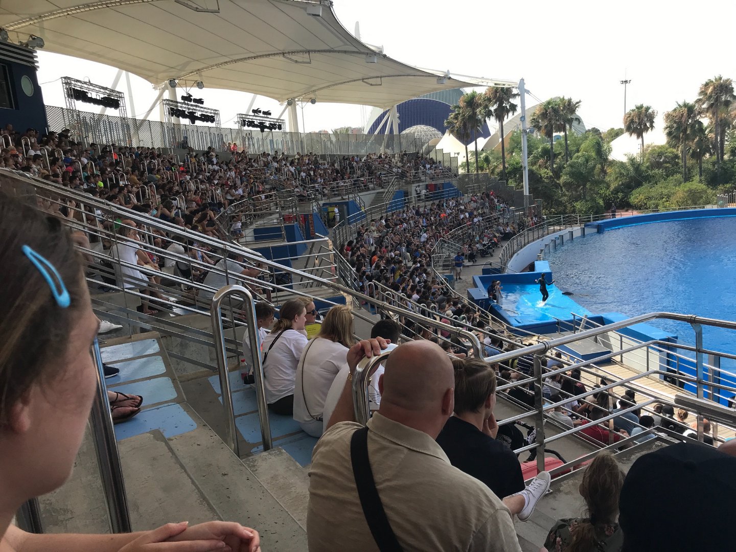 Spain 2019, Day 6: Back to Valencia, photo 6
