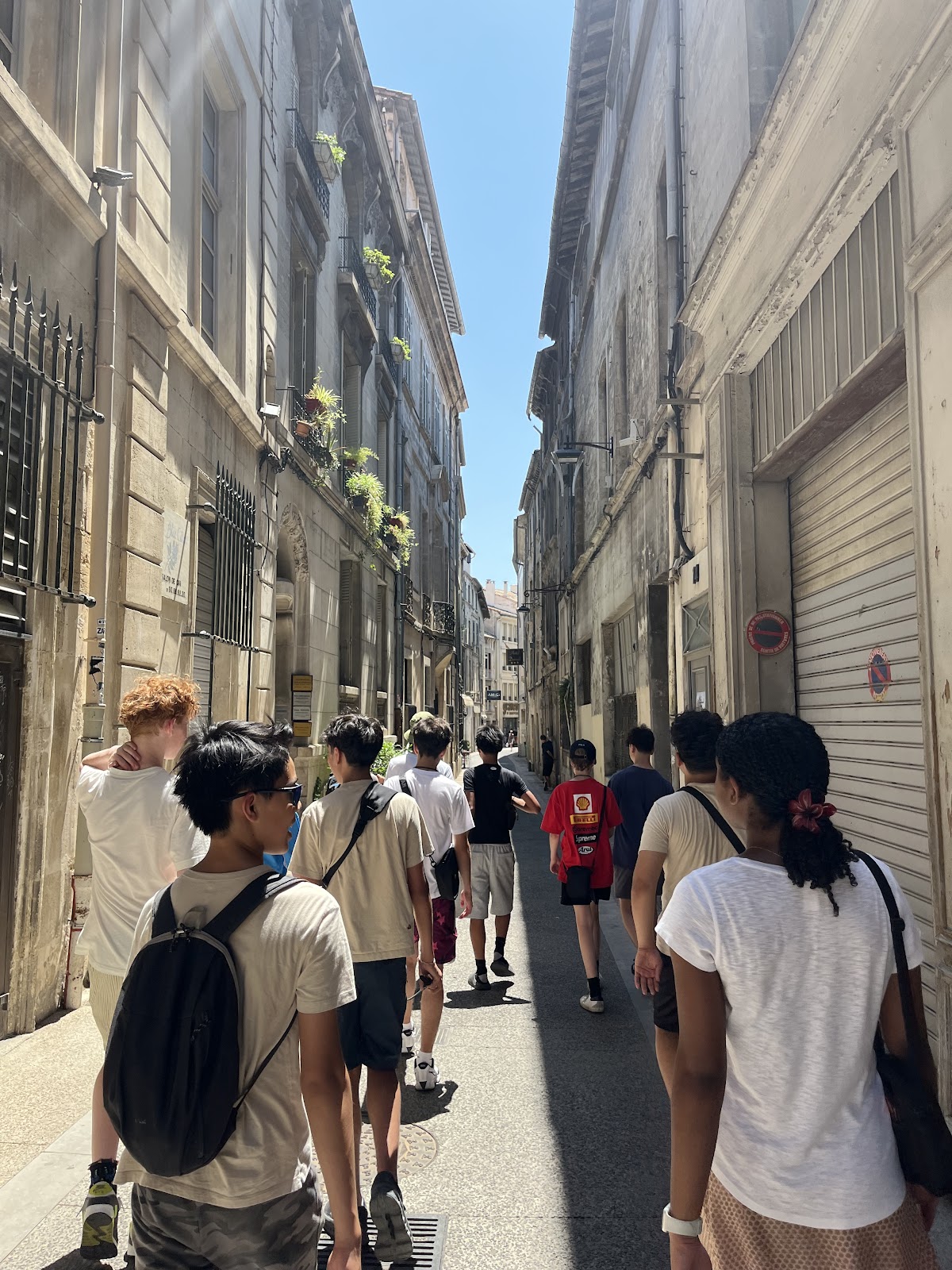Day 3: South to Avignon, photo 9