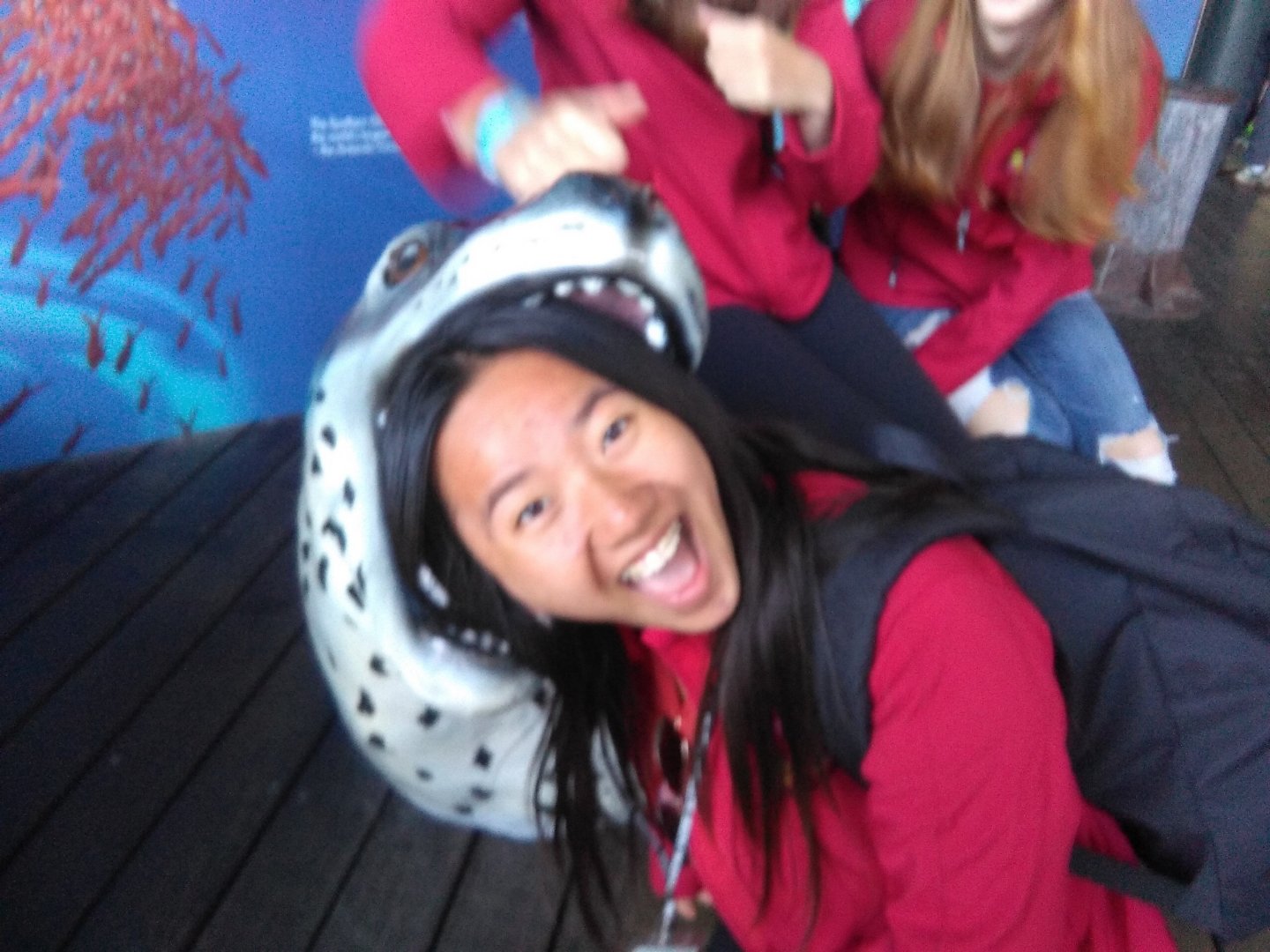 Australia 2017, Day 5: Taronga Zoo and a Workshop, photo 11