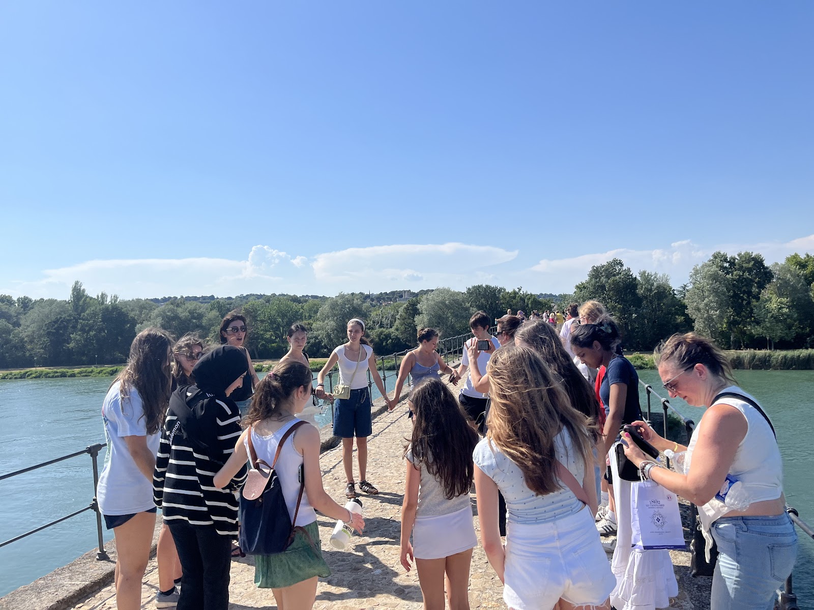 Day 3: South to Avignon, photo 11
