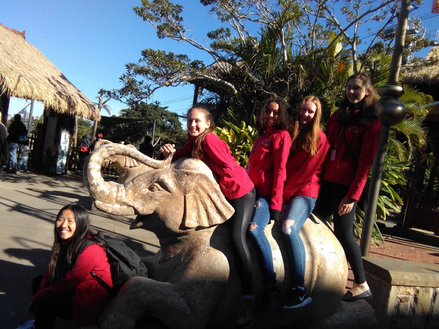 Australia 2017, Day 5: Taronga Zoo and a Workshop, photo 14
