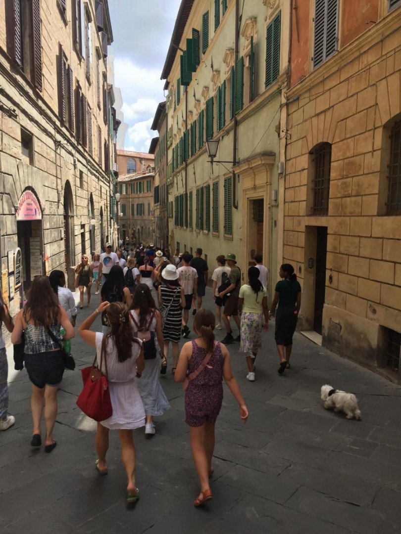Italy 2023, Day 4: Siena, photo 4