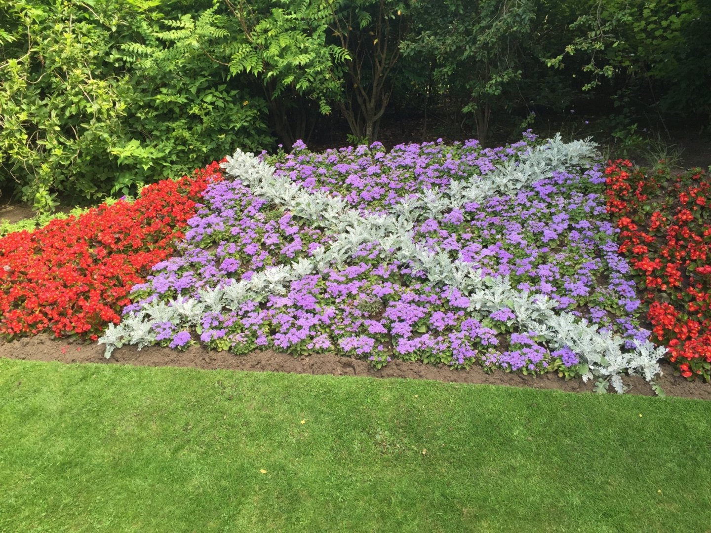 Scotland 2015, Day 2: Arrived in Aberdeen: Scottish flag in flowers
