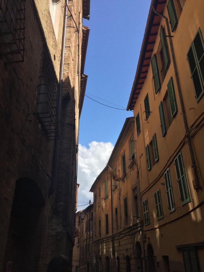 Italy 2023, Day 4: Siena, photo 7