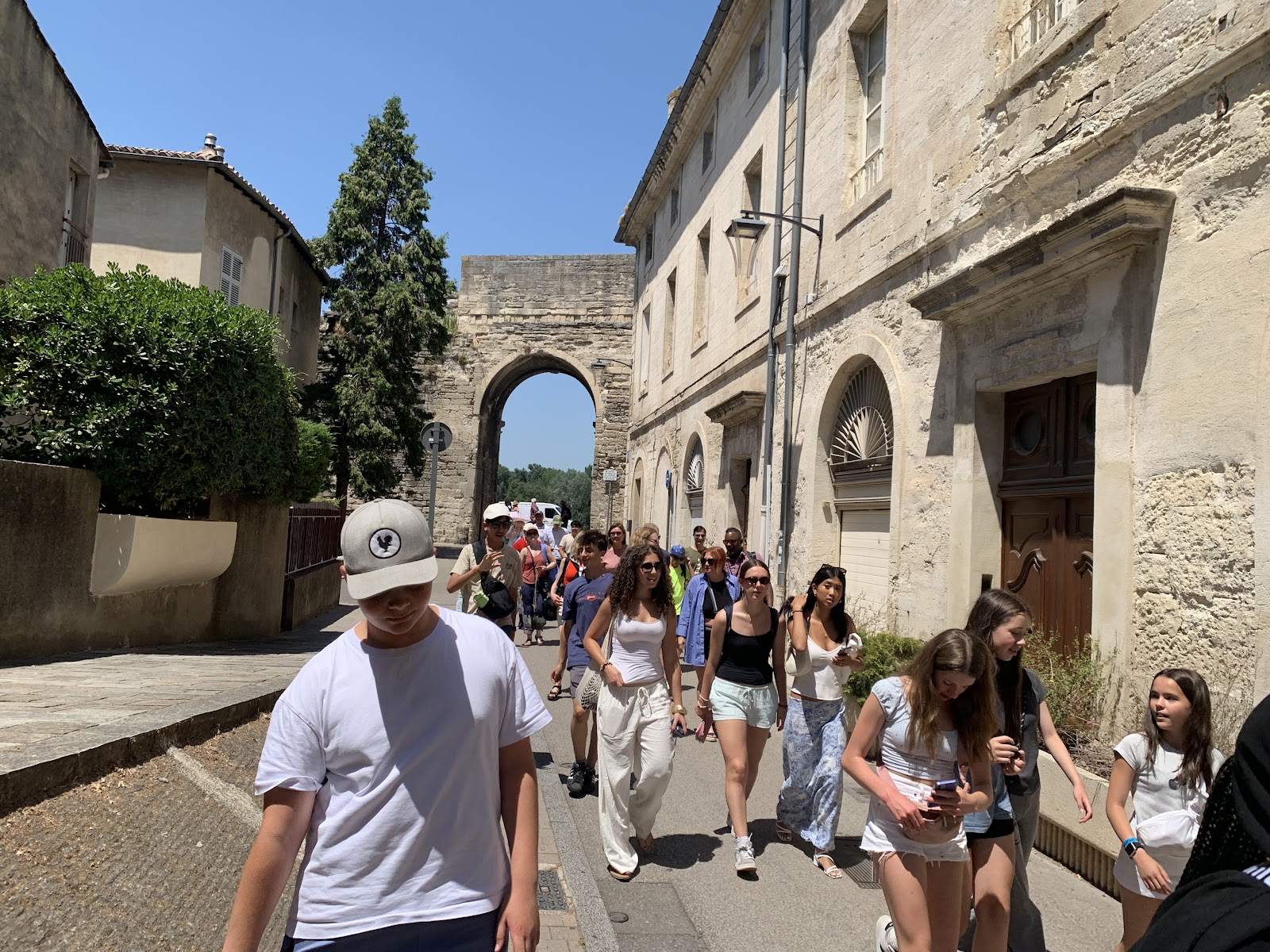 Day 3: South to Avignon, photo 15