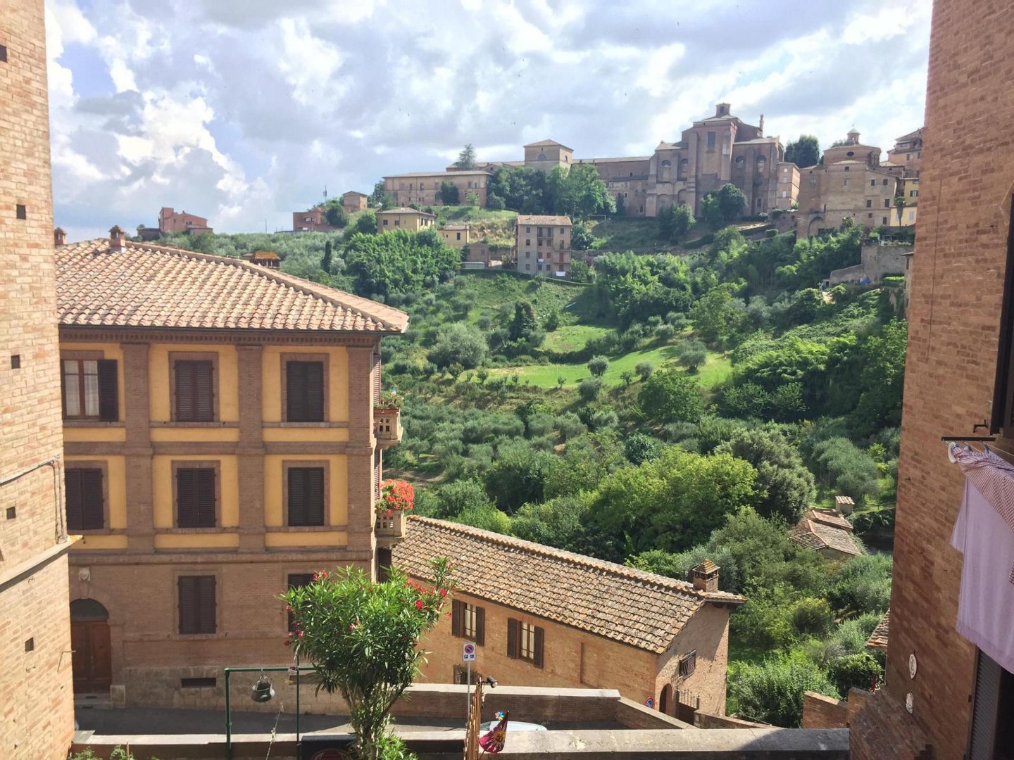 Italy 2023, Day 4: Siena, photo 5