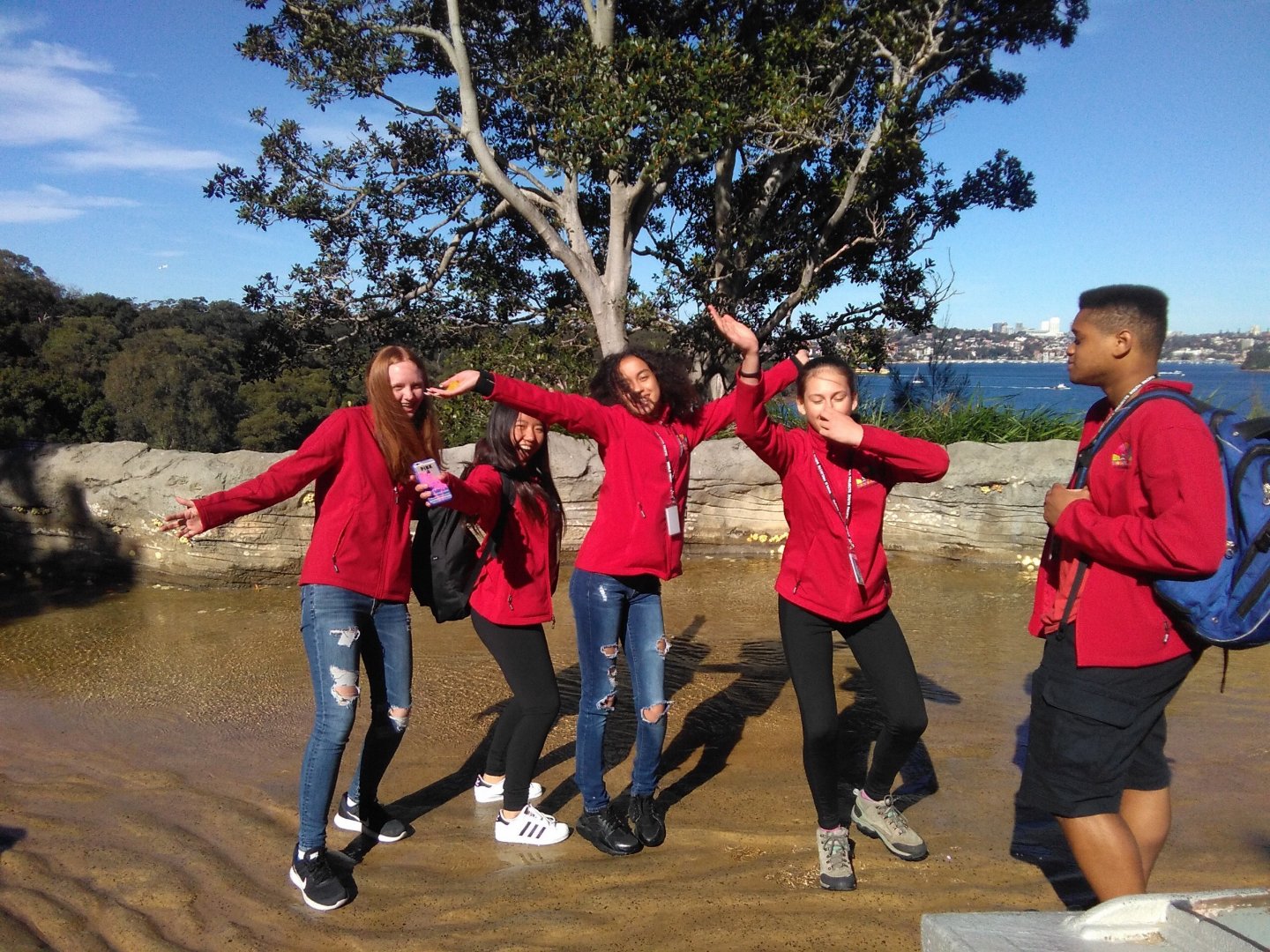 Australia 2017, Day 5: Taronga Zoo and a Workshop, photo 15