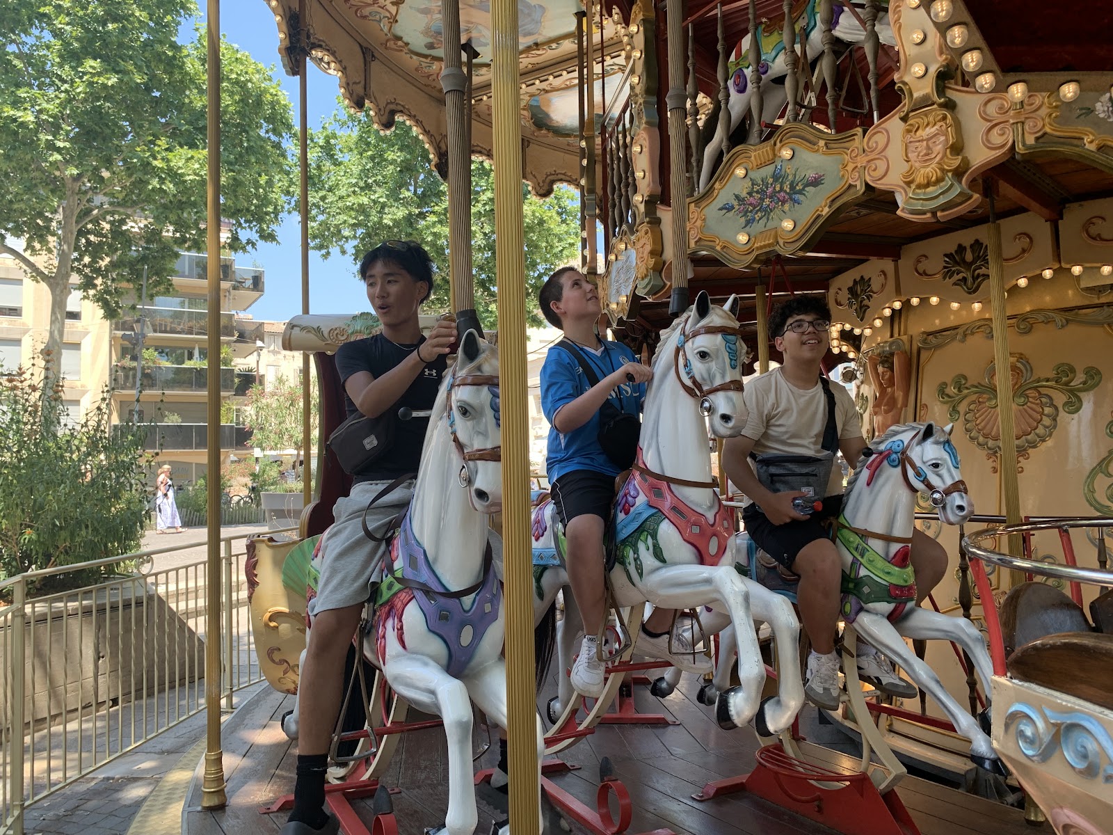 Day 3: South to Avignon, photo 5