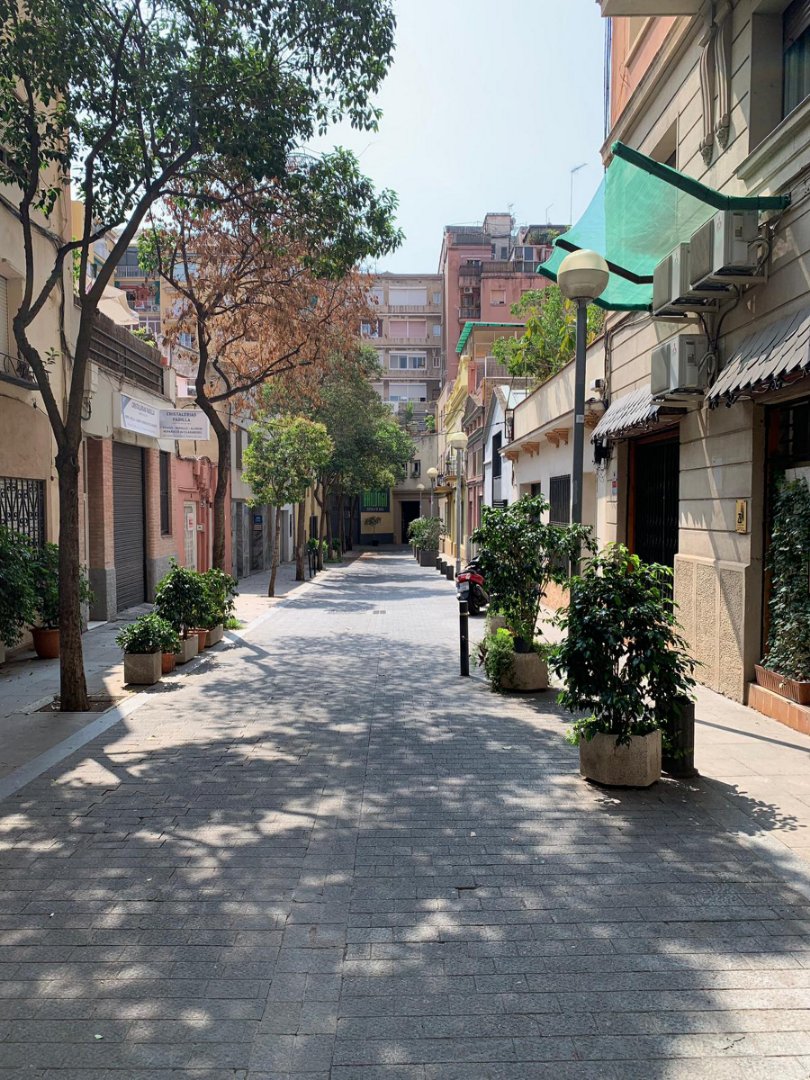 Spain 2019, Day 11: Flamenco, photo 14